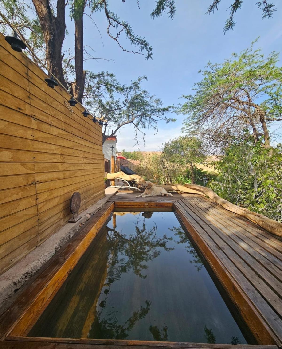 Anka Lodge Quitor San Pedro de Atacama Exterior photo